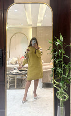 Did Embriodered Dress