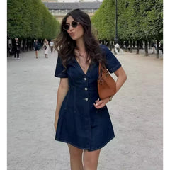 Giyana Denim Dress