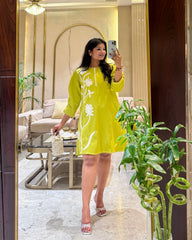 Caslie Embriodered Dress